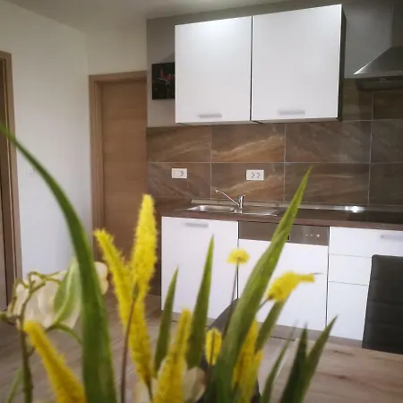 Apartment Erzen Medulin