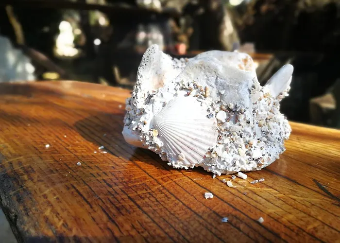 Erzen Appartement Medulin