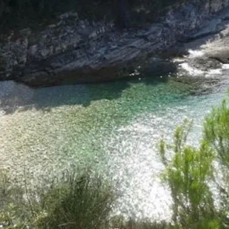 Erzen * ميدولين