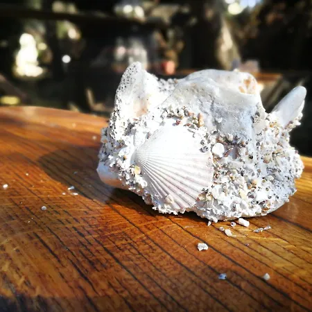 Erzen Апартаменты Медулин