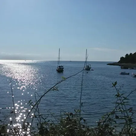Apartman Erzen *